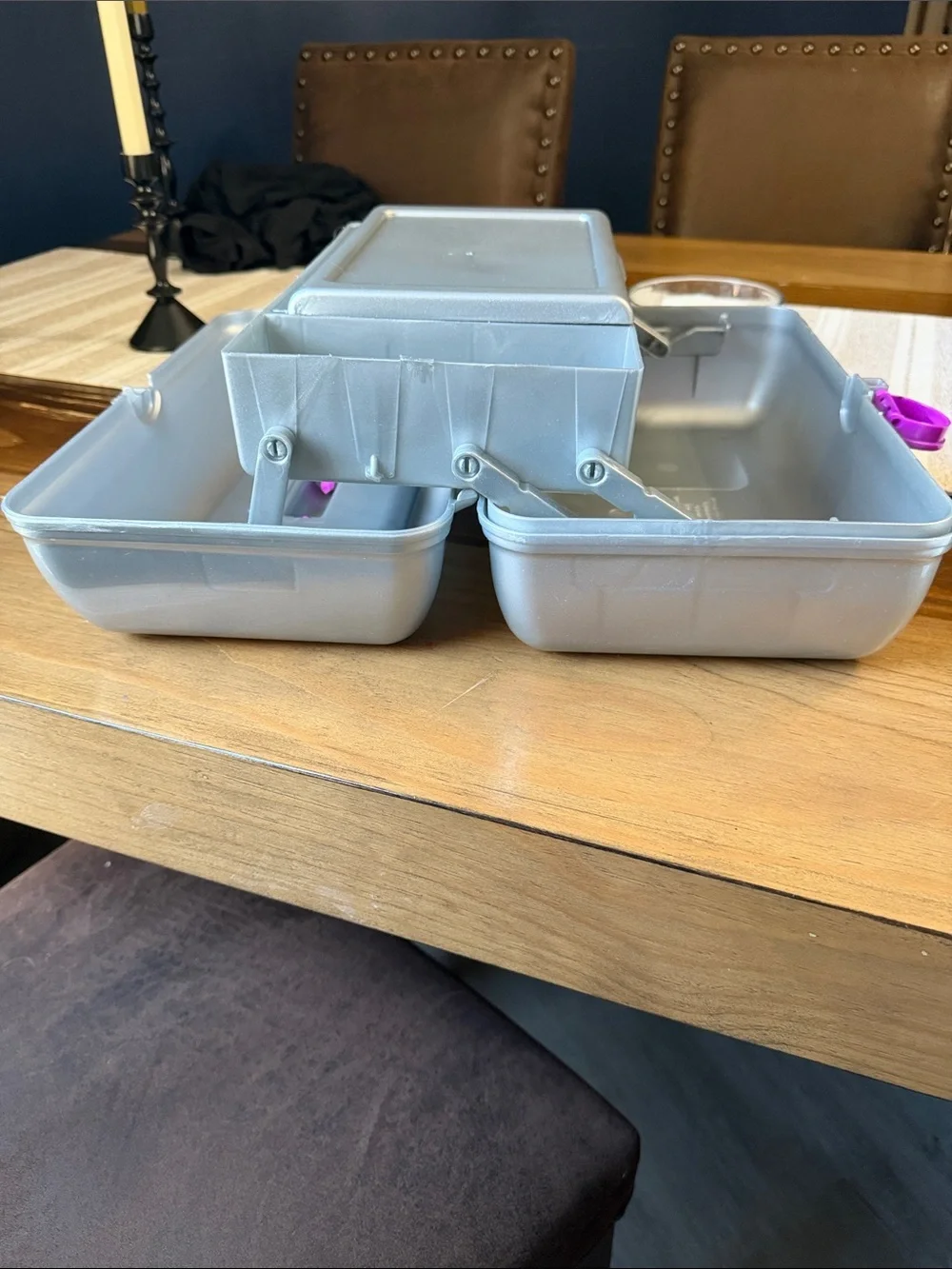 Caboodles Silver Makeup Case with Pink Handle